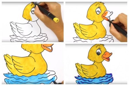 Этапы рисования уточки