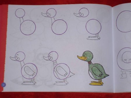 Утка поэтапное рисование