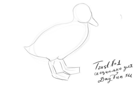Поэтапное рисование уточки для детей