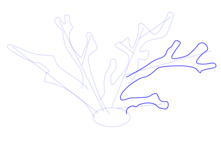 Кораллы пошагово рисунок