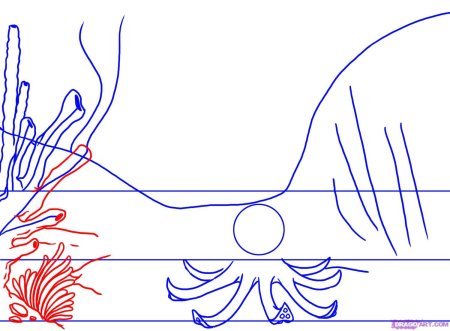 Кораллы поэтапное рисование