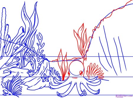 Кораллы поэтапно