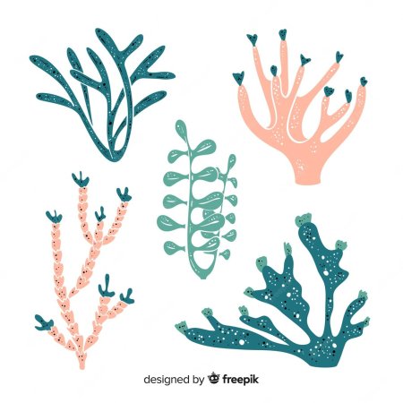 Стилизованные водоросли