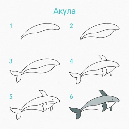 Поэтапное рисование морских животных