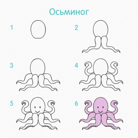 Поэтапное рисование осьминога для детей