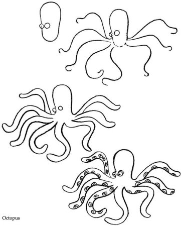 Поэтапное рисование осьминога для детей
