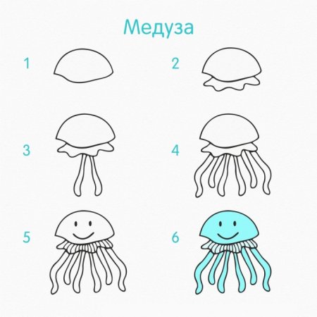 Рисование морские обитатели в старшей группе