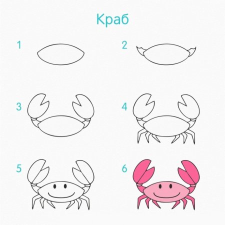 Схемы рисования морских обитателей