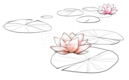 Поэтапный рисунок Лотос