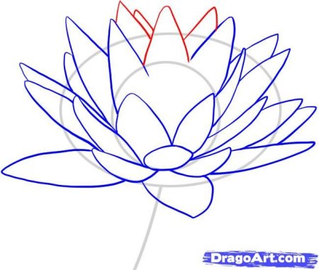 Схемы рисования цветов