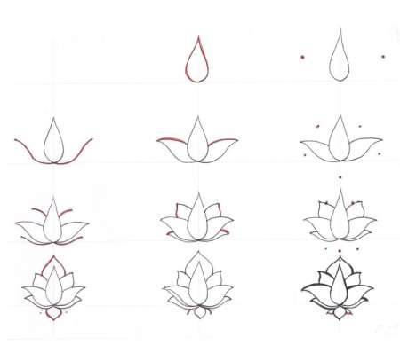 Кувшинка рисунок для детей поэтапно