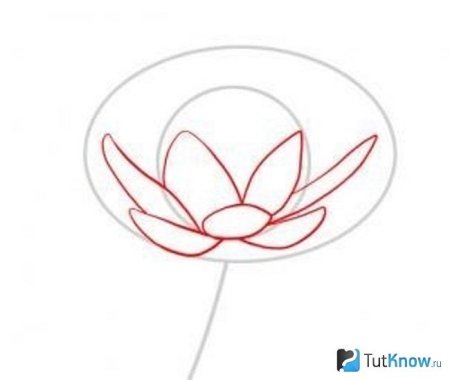 Нарисовать кувшинку легко