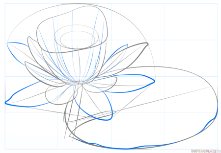 Кувшинки карандашом для начинающих
