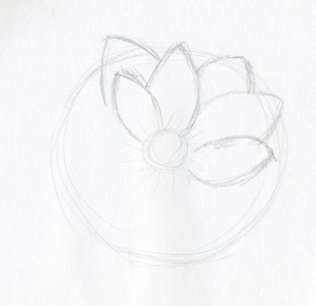 Рисунок кувшинки для начинающих