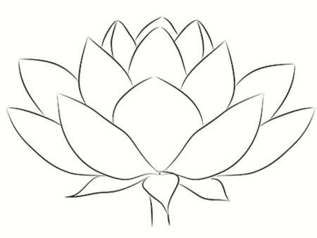 Рисунки лотоса для срисовки