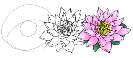 Лотос орехоносный контур