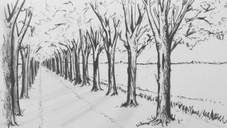 Лес в перспективе карандашом