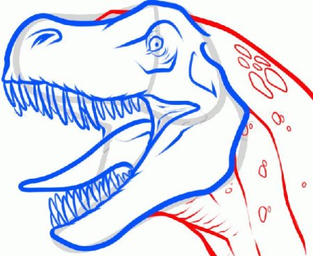 Поэтапность рисования Тирекса