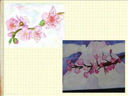 Художественный образ культуры Японии. Праздник цветения Сакуры