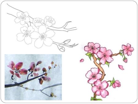 Ветка Весенняя изо