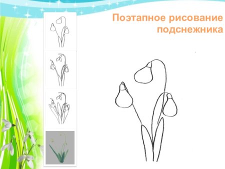 Рисуем подснежники поэтапно