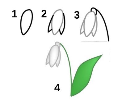 Поэтапное рисование подснежника