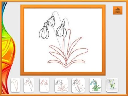 Поэтапное рисование подснежника