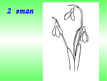 Подснежники изо