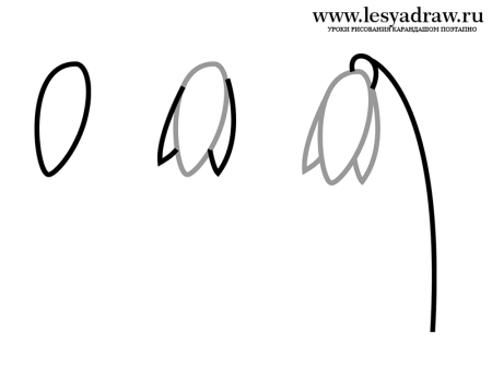 Подснежник рисунок карандашом