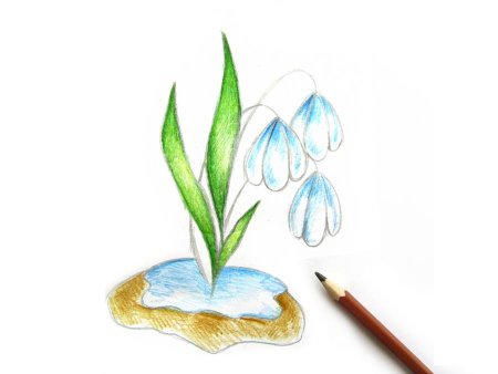 Рисование первых весенних цветов