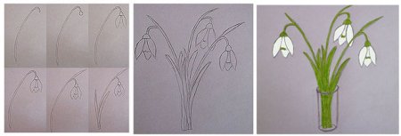 Рисунок подснежника карандашом для детей