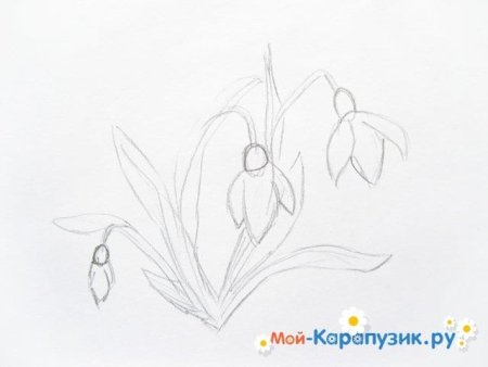 Подснежники нарисовать красками