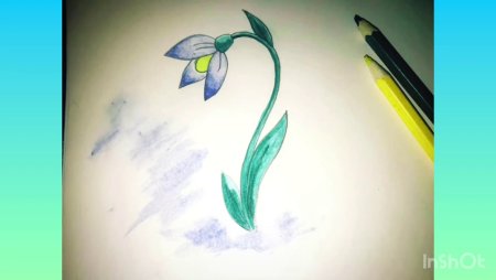 Этапы рисования цветов для детей