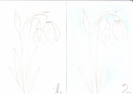 Рисование первых цветов карандашом