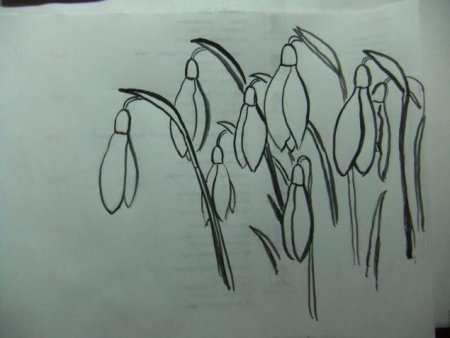 Подснежники рисунок красками простой