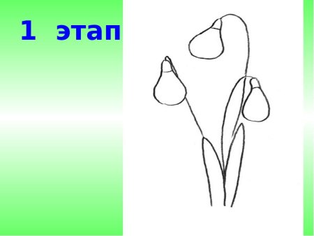 Рисование подснежники пошагово