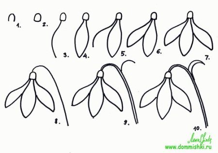 Рисование Подснежник 5 лет