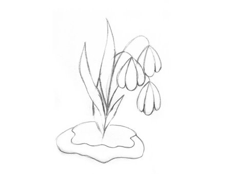 Подснежники цветными карандашами
