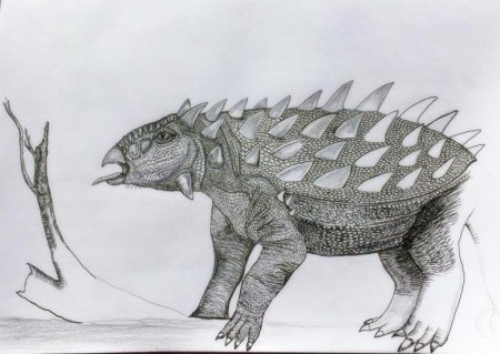 Анкилозавр рисунок