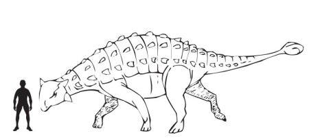 Анкилозавр скелет