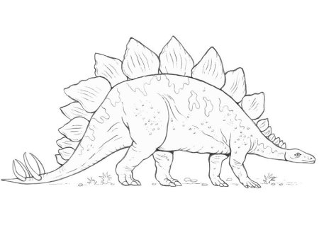 Silvisaurus