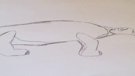 Анкилозавр разукрашка