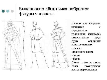Построение фигуры человека
