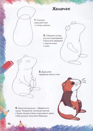 Хомяк рисунок поэтапно