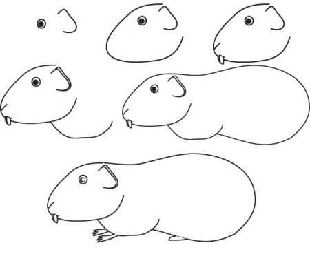 Рисунок мышки поэтапно