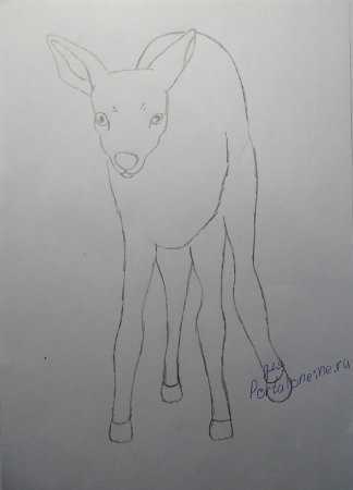 Рисунок серебряное копытце легкий