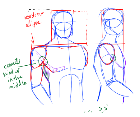 Анатомия человека с помощью фигур