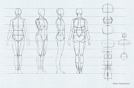 Пропорции человека в полный рост