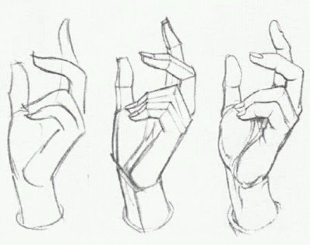 Референсы рук с построением