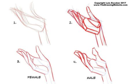 Поэтапное рисование рук